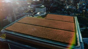 Стадионы на крышах школ