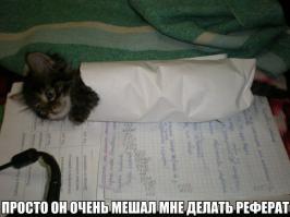 Шаурма ?
