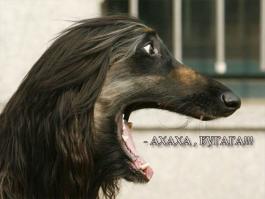 Странные и нелепые татуировки