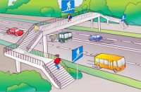 думаю это дешевле, чем лечить и сажать людей, за такую нелепость. Пока не изолируют пешеходов от машин - никакие штрафы не спасут.