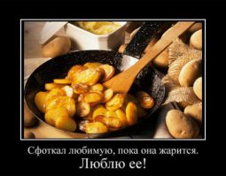 Котлеты и миллионерша