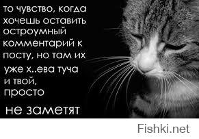 Ситуации, которые бесят всех