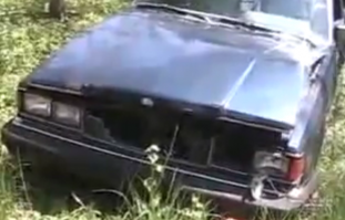 Кроме аккумулятора, машина подозрительно чисто выглядит. Кузов блестит на солнце, окна чистые- оператор отражается. Ладно пыли нет, но ни одного листика на кузове за 7 лет в лесу? Такое впечатление, что ветку сзади чисто символически положили.