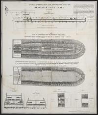 Airbus придумал использовать «велосипедные» сидения в самолетах