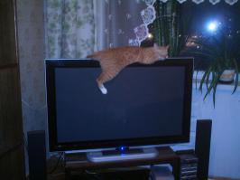 добавлю чуть-чуть ))