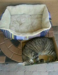 чуть-чуть добавлю.. ))