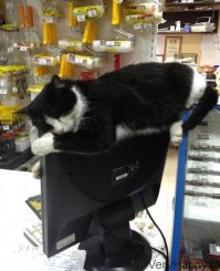 чуть-чуть добавлю.. ))