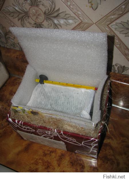 мы конечно тоже не делали чертежей... и гипсокартон не покупали и датчики не устанавливали... Так уж получилось, что наша собака задрала курицу, высиживающую яйцо. яичко так сиротливо лежало на дне гнездышка и рука не поднялась.... соорудили по быстрому "инкубатор" и вооот :)