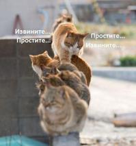 ЛЕТОМ НА ПЛЯЖЕ