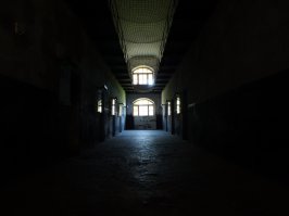 Интересное место. На улице +33, под королевской башней (внешняя у дворика с садом) на стенах лёд и в футболке долго находиться чревато. Говорили, что там боеприпасы хранили и по время боя наверх поднимали - незавидная работа.

От города недалеко, из Шлиссельбурга туда гоняет катер летом.
Немного добавлю для атмосферы.