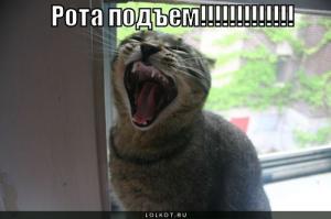 Фишкина солянка за 15.06.2014