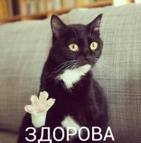 Фишкина солянка за 15.06.2014