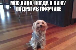 Фишкина солянка за 01.07.2014 