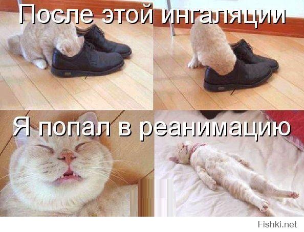 Фишкина солянка за 24.07.2014