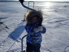 Скорее всего думал про омуля, но назвал корюшкой.
А у нас уже тяжко, лед на прошлых выходных 1,5 метра, слишком много лунок не пробуришь. Да и сынка бы замерз у меня в -30 в одеянии что на фото, но уже берем с собой в его полтора года =))))
