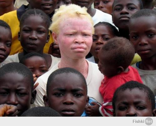 Природа забыла добавить окрас этим очаровательным альбиносам