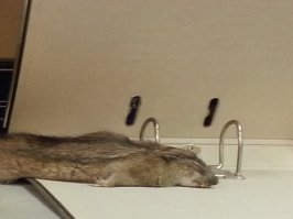 да что ты говоришь?