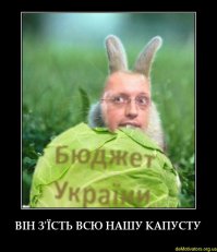 «Золото-валютные резервы нужны только странам-изгоям, не имеющим международной поддержки. Украина - не из их числа», - премьер-министр Украины Арсений Яценюк.

Яценюк:"Часть этих средств пойдут в золотовалютные резервы НБУ. А это то, что ценится в мире и стабилизирует курс национальной валюты", - добавил глава правительства."