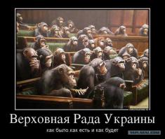 Солянка для Майдана. Часть 62