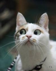 Да погуляем еще очь интересный город этот ммм как его...