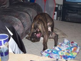 Че там косоглазие....Паркинсон хуже....Забыть чьи это яйца...(