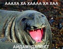 Находка 90-х годов 