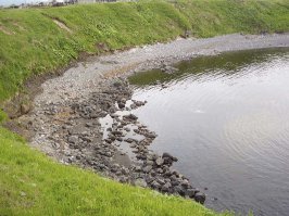 Курильские острова. Итуруп и Шикотан. Фото мои.