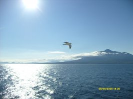 Курильские острова. Итуруп и Шикотан. Фото мои.