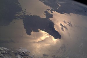 Этот полуостров похож на только что оторванную от туши голову лося. ;)