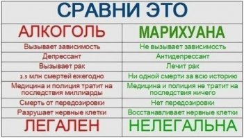 Для затравочки)))