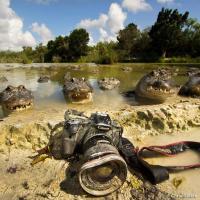 Ну кто следующий фотографировать?