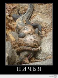 Уже пытался