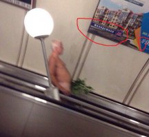 Давно ли, метро Молодёжная в Санкт-Петербурге появилась ?
И код 495 стал ?