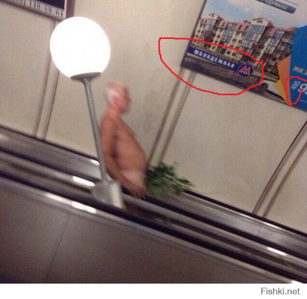 Давно ли, метро Молодёжная в Санкт-Петербурге появилась ?
И код 495 стал ?