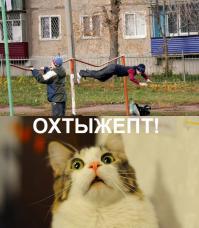 Чудики из социальных сетей