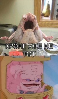 26 продуктов, которые отчаянно не хотят быть съеденными  