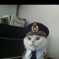 я к вам хочу!