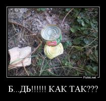 Подборка настоящих сюрпризов 