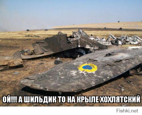 Фото с места падения сбитого МИГ-29 ВВС Украины