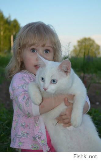 А вот наш котейка, гроза мышей и скворцов.