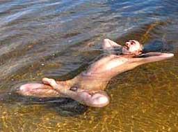 но самое главное это нoги. Чтобы выглядеть более элегантно, достаточно просто скрестить их