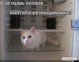 Что у американцев в холодильнике?