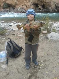 Нет там 24. Насколь я вижу, там и 15 не будет. Вот мой сынишка 6-летний на нашей рыбалке, в руках форель. Вес рыбы непотрошенной составил 2,3 кг. Сравнивайте.