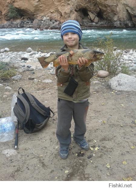 Нет там 24. Насколь я вижу, там и 15 не будет. Вот мой сынишка 6-летний на нашей рыбалке, в руках форель. Вес рыбы непотрошенной составил 2,3 кг. Сравнивайте.