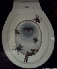 Могло быть хуже...