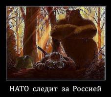 Солянка для Майдана. Часть 19