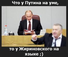 Солянка для Майдана. Часть 42