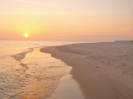 Ну кто скажет, был пресловутый фотошоп на этой фотографии или не было? И если было то что?