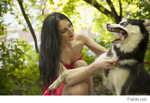 Такие разные собаки