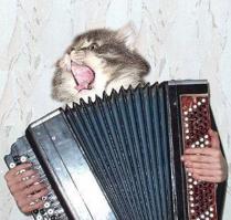 ГИБДД пресует, Алло, Руслан Подъедь пожалуйста 